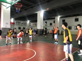 屏幕前的热血，体育直播如何重塑篮球文化