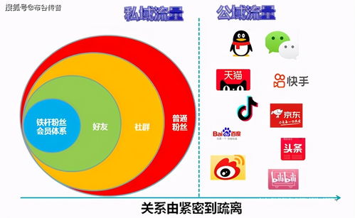权威信源与用户体验的平衡之道,解析华体网官方版的价值与使用指南 权威信源与用户体验的平衡之道,解析华体网官方版的价值与使用指南