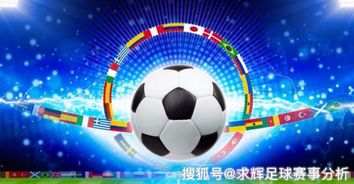 足球彩票310，从数字游戏到生活哲学