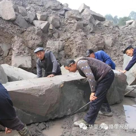 中国队篮球队员名单,新老交替,蓄力未来 中国队篮球队员名单,新老交替,蓄力未来