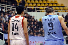 王治郅为什么不去篮协？一位篮球传奇的职业选择与人生思考