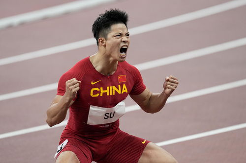 东京奥运会,苏炳添拿金牌了吗? 东京奥运会,苏炳添拿金牌了吗?
