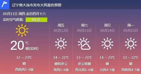 大连马拉松报名费多少钱？2025年最新收费标准与参赛攻略