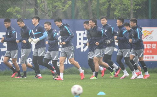 绿茵巅峰，足球决赛舞台上的双雄、三强与多极之争