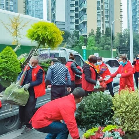 乒乓球台桌高度是多少？标准数据与选购指南
